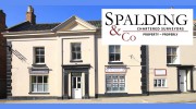 Spalding & Co