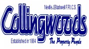 Collingwood